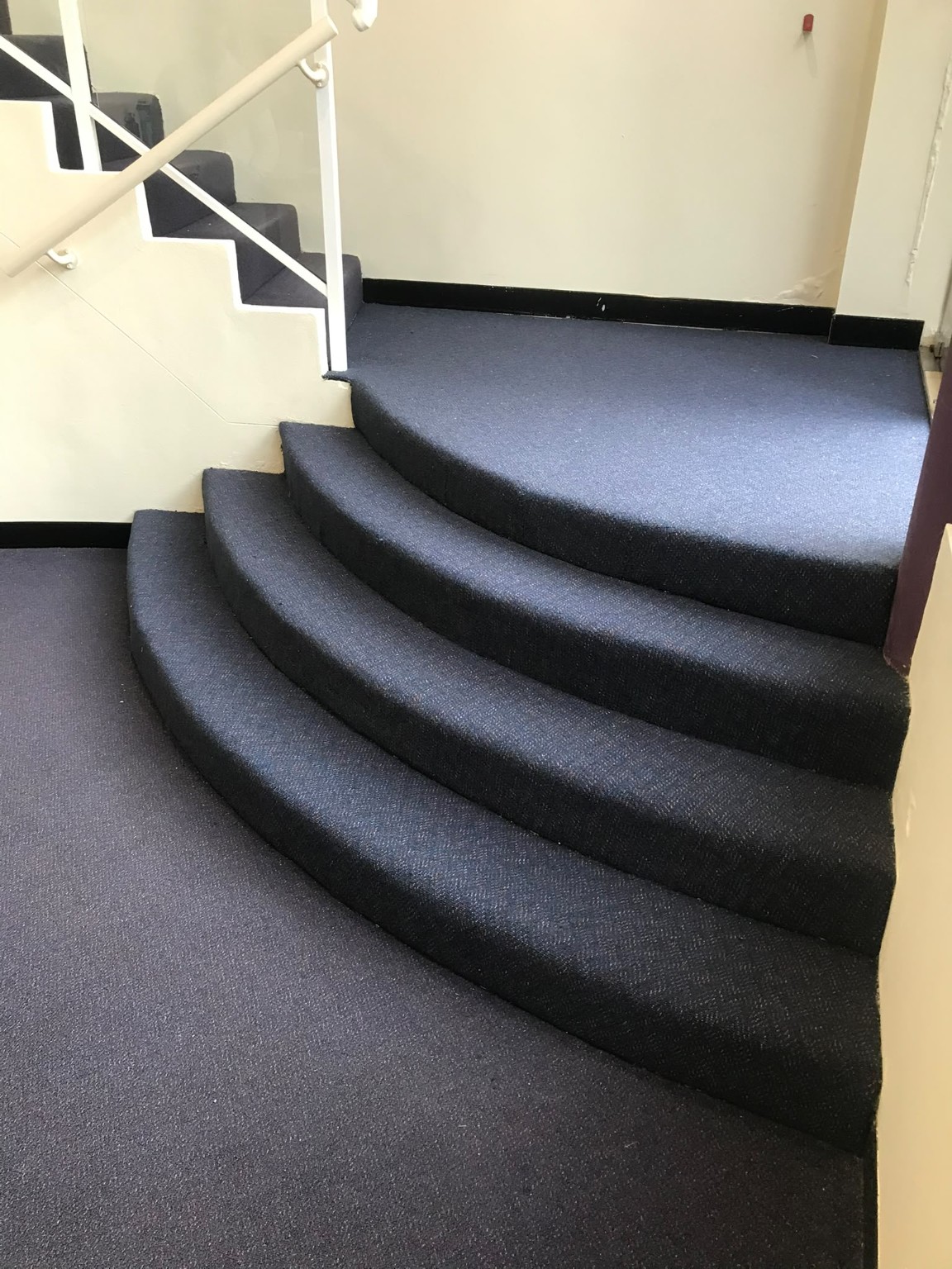 Dark carpet installed over wide curved stairs